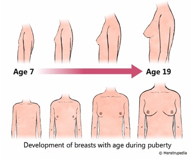 girls developing breast buds